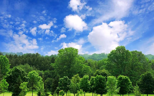 山东省建设绿色低碳高质量发展先行区三年行动计划（2023-2025年）