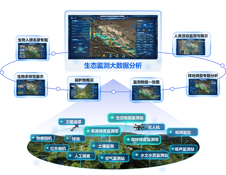 生态监测大数据分析.jpg