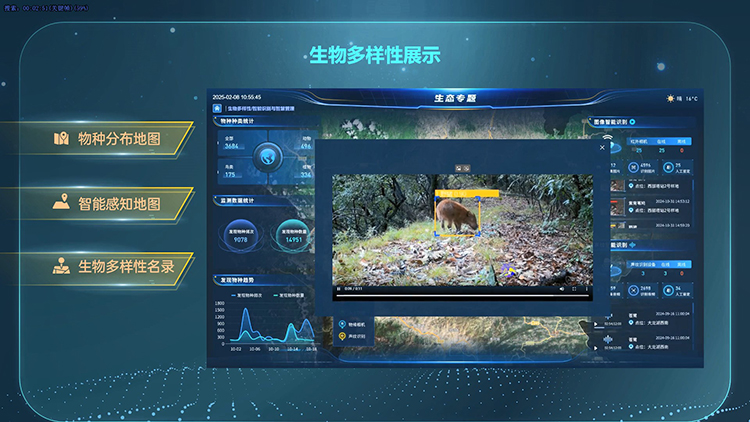生物多样性专题1.jpg