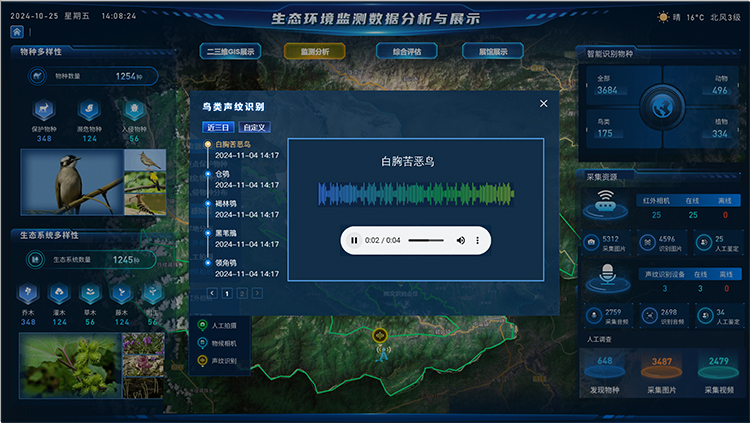 鸟纹识别.jpg