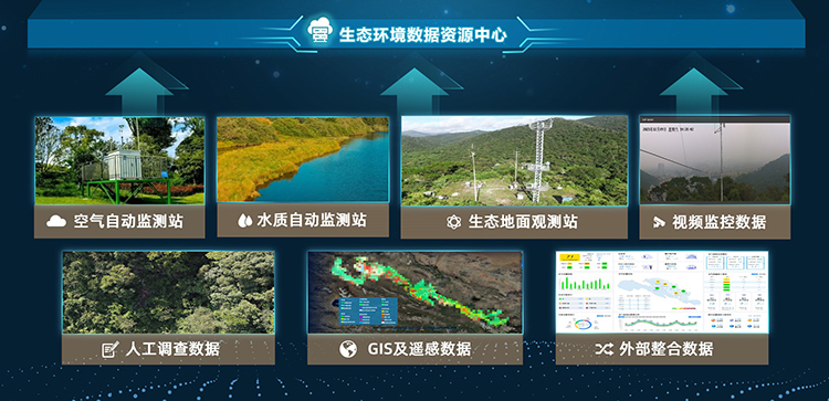 生态监测数据入库.jpg