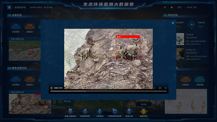 自然保护地生物多样性识别.jpg