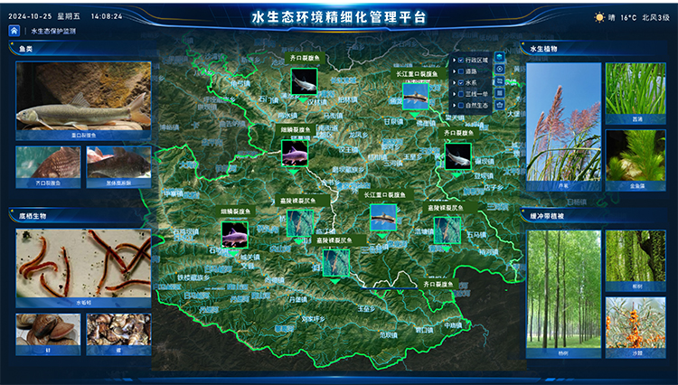 水生态环境精细化管理.jpg