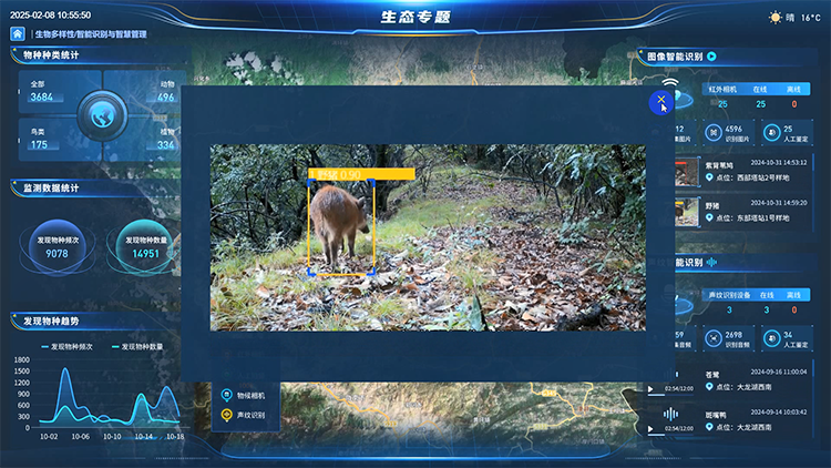 生物多样性.png