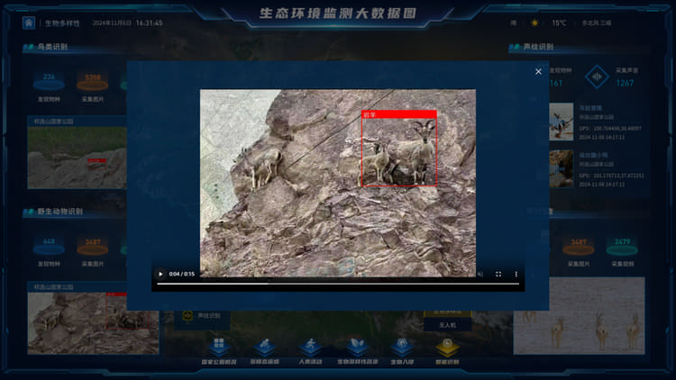生物多样性物种识别.jpeg