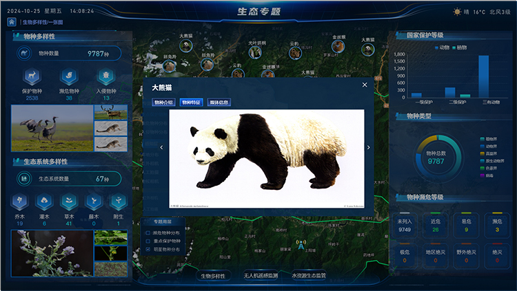 图片 3