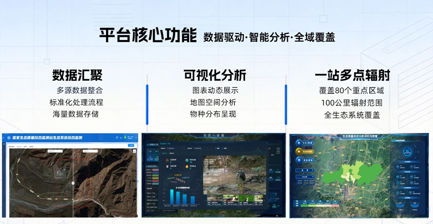 图片 6