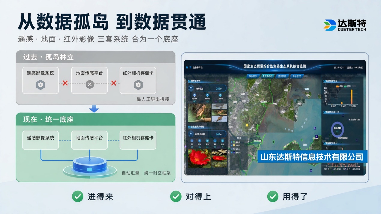图片 13