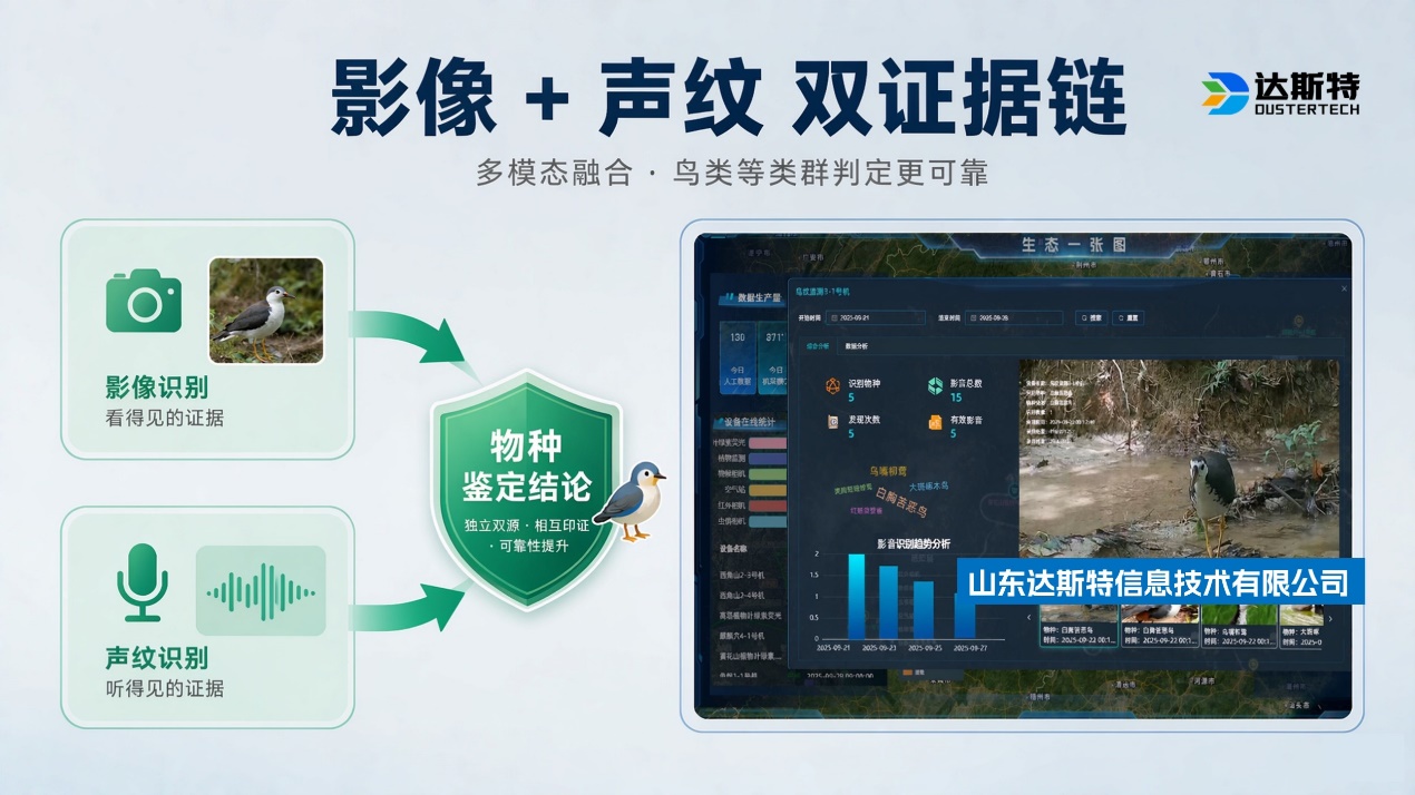 图片 17