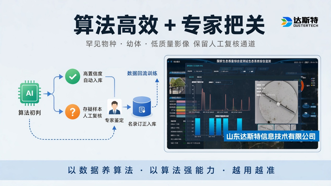 图片 18