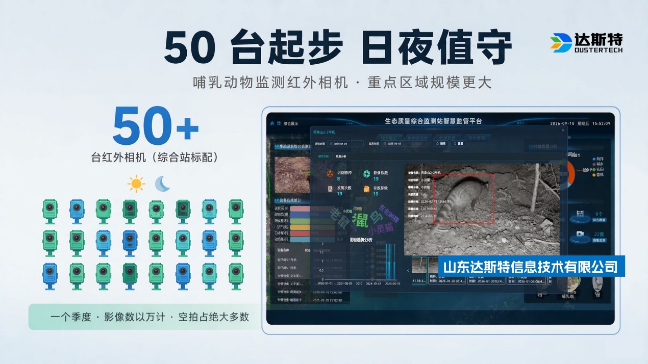 图片 16