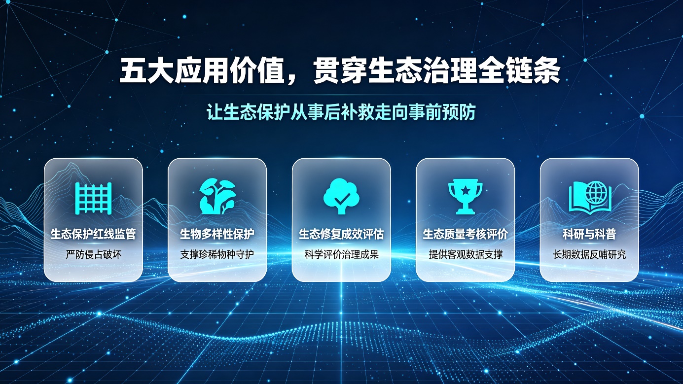 图片 5