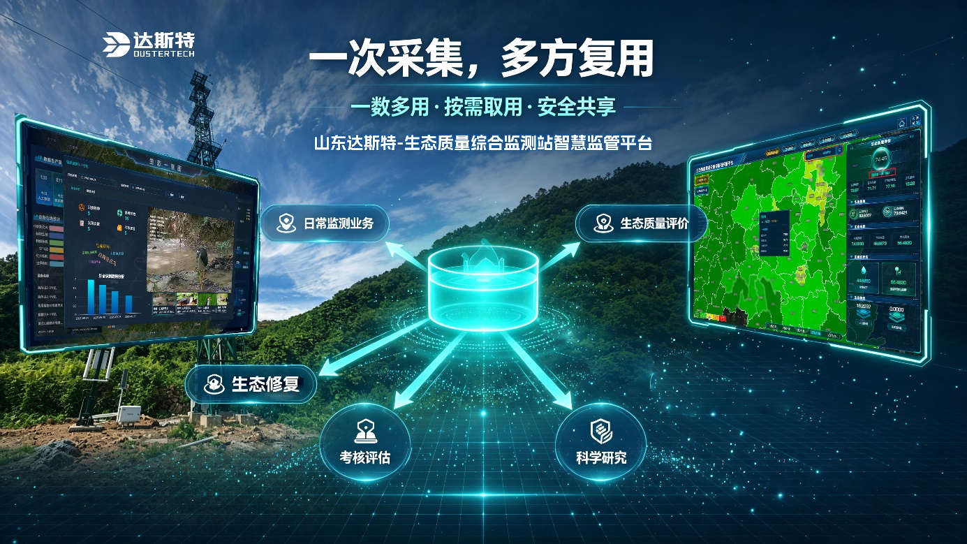 图片 13