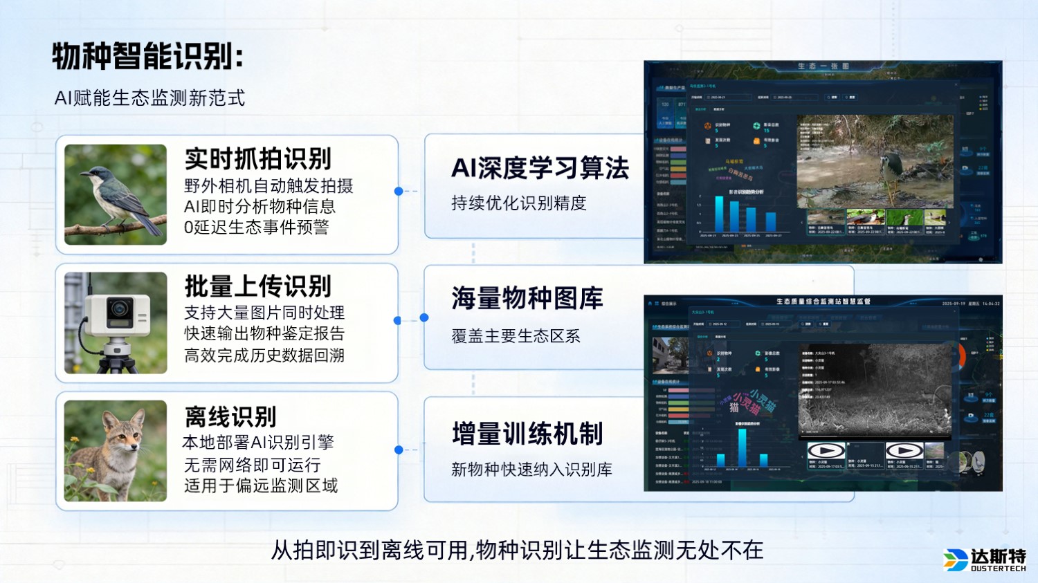 图片 38